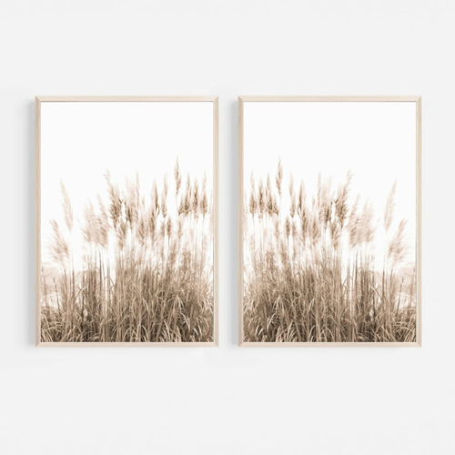 Set X2 Cuadros Completos Pampa Grass Mar Y Playa 53x73 Cm. 