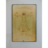 Cuadros Modernos Hombre De Vitruvio Leonardo Da Vinci 27x42