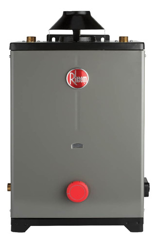 Calentador De Agua Rheem One2 13 L/min Gas Lp 2 Serv