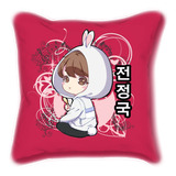 Cojin Bts 50x 50 Cm Personalizables Anime