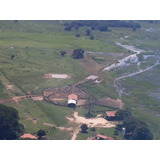 Fazenda A Venda No Pantanal Em Poconé Mt