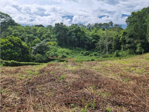 Lote Campestre Para La Venta Vía Caimo Aeropuerto - Imagen 4