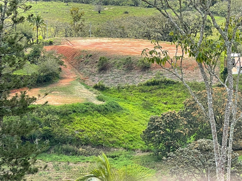 Grandioso Lote En Venta Porce - Imagen 3