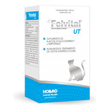 Holland Felvital Ut Para Gatos Tracto Urinario 100 Ml 