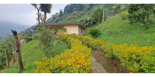 Vendo Casa Finca Fredonia Antioquia - Imagen 3