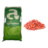 1 Kg Semente De Milho Agroceres Ag- 1051 P/milho Verde Silag