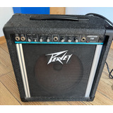 Peavey Audition 110