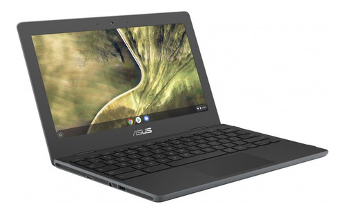 Laptop Asus Chromebook C204 11.6 Celeron N4020 4gb 32gb Emmc