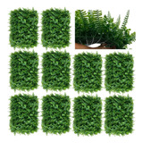 20 Placas Com Uv Jardim Artificial Samambaia Eucalipto Prime