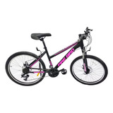 Bicicleta Rodado 24 Mtb Fire Bird Turbo 21 Vel Discos