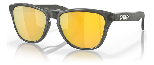 Óculos De Sol Oakley Frogskins Xs Matte Grey Smoke 3753