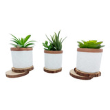 Kit Com 3 Vasos De Cimento Decorativo.Plantas Inclusas