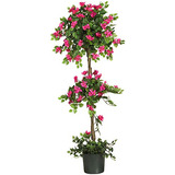 Topiario De Bougainvillea Miniatura De 5228, 5 Pies, 9 ...