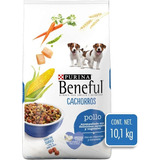 Alimento Para Perro Purina Beneful Cachorros 10 Kg Pollo