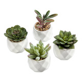 Mygift Suculentas Artificiales En Miniatura, Plantas De Inte