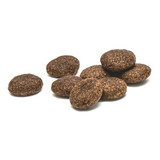 Proden Plaqueoff Bites Gatos 60 Grs - S A Todo Chile Sabor Neutro