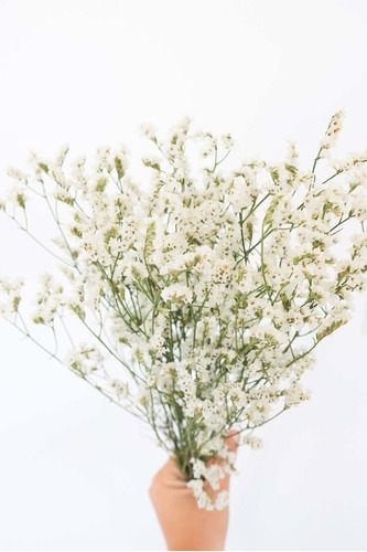Ramo Flores Secas Preservadas Deco Caspia Japonesa Blanca