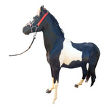 Cavalo Pampa De Preto Manga Larga Marchador 1,43m De Cernelh