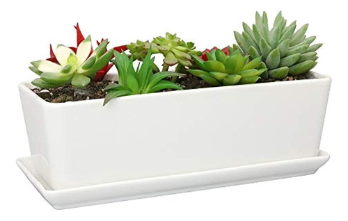 Maceta Rectangular De Ceramica Blanca Para Suculentas