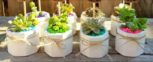 10 Souvenir Mimi Suculentas Cactus Terrarios Cumple Eventos 
