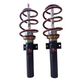 Suspension Regulable Vw Fox A Medida