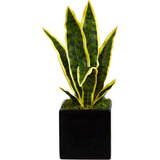 16 Pulgadas Planta Artificial Sansevieria En Maceta Neg...