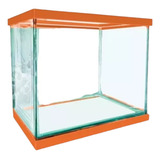 Pecera Vidrio Para Acuario Tortuguero Terrario 15 X 14 X 11