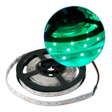 Tira Led Verde 3528 / 2835 Interior 5m 300led + Fuente 12v