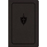 Manual For Conquering Deadly Sin - Fr Dennis Kol (original)