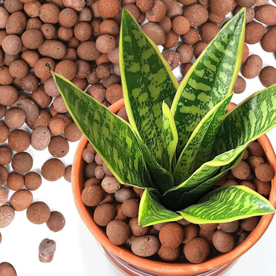 T4u Leca Guijarros De Arcilla Para Plantas, 13qt 10-20 Mm Bo