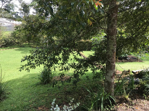 Hermoso Lote El Retiro Vereda Pantanillo - Imagen 4