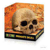 Adorno Exo Terra Craneo Primate Grande Skull Acuario 