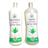Shampoo Y Tratamiento Aloe Vera Y Biotina Herbacol