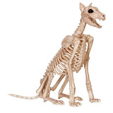 Skeleton Doberman