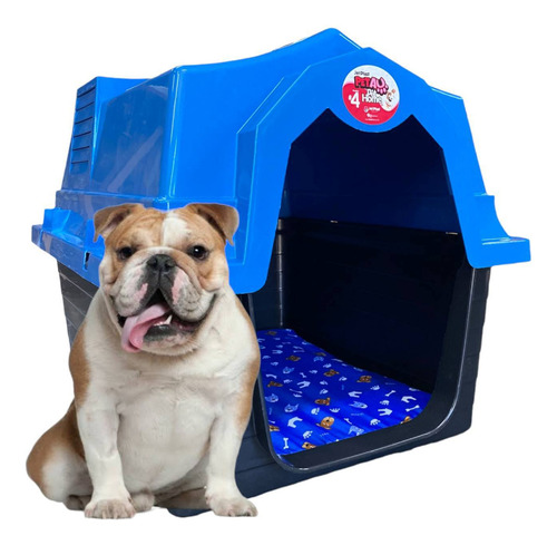 Casa Casinha Plástica Cachorro Colchão Número 4 Cor Azul