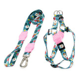 Kit Para Cachorros Grande Porte Guia + Peitoral Sunny Rose