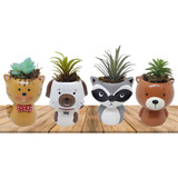 4 Cachepots Decorativos Animais Gato Cachorro Guaxinim Urso