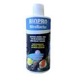 Biopro Bacteria Para Acuarios De Agua Dulce Y Salada 500 Ml 