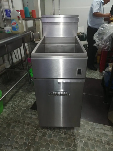 Freidora Electrica Profesional