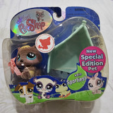 Lps Littlest Pet Shop #810 Castor Edição Especial Hasbro 