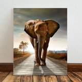 Cuadro Elefantes Moderno Bastidor Canvas 100x70 Vertical E11