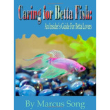 Caring For Betta Fish