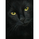 Yumeart Diy 5d Pintura Con Diamantes Animal Gato Negro ...