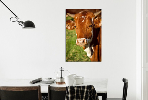 Vinilo Decorativo 20x30cm Vaca Animales Campo Pasto M6