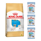 Kit Bulldog Frances Puppy 2,5kg E 3 Sachês Mini Royal Canin