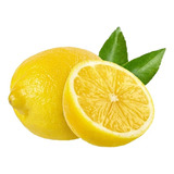 Limon Eureka 1.40m A 1.50m Limón Amarillo Para Maceta /