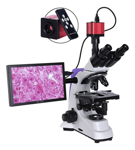 Microscopio Trinocular Hd Biológico De Laboratorio