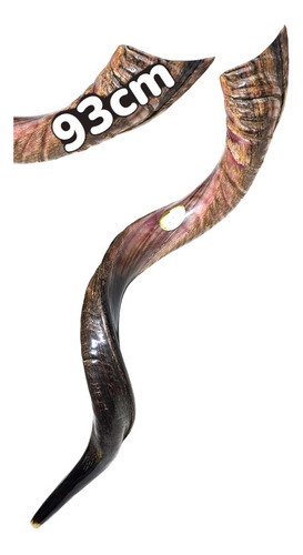 Shofar De Israel 93cm Sh22