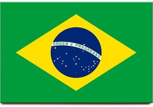 Sao Paulo   Iman De Nevera Bandera De Brasil Rio De Janei