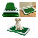 Tapete Entrenamiento Perros Puppy Potty  Razas Pequeñas 